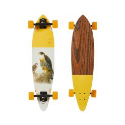 PINTAIL 34 FALCON 