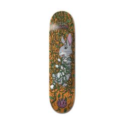 DECK TRAPPED SCHAAR