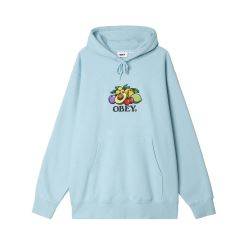 BASKET HOOD SKY BLUE