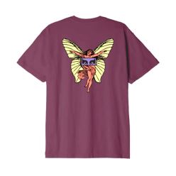 FAIRY BEETROOT